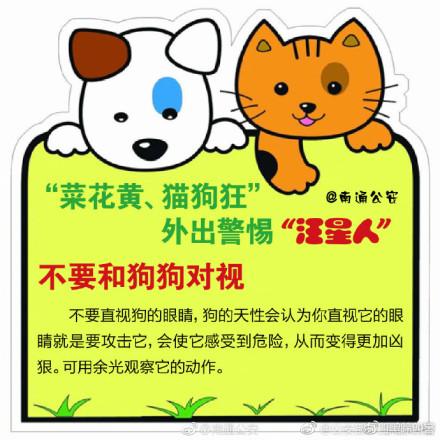 猫咪狂免每年都要打吗
