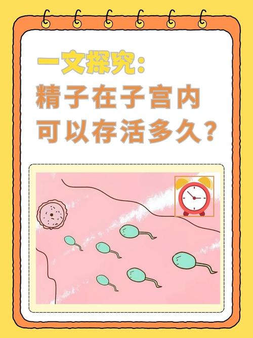 高卢人的精子生五个正确答案