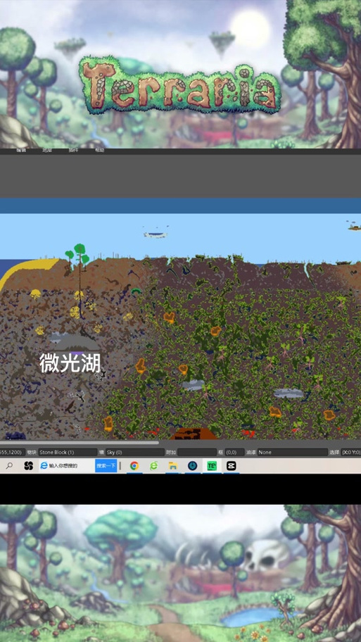 泰拉瑞亚14050附魔剑种子手机版
