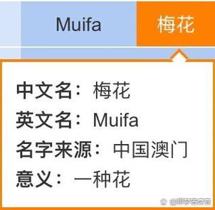 梅花app改名后叫什么名字游戏截图