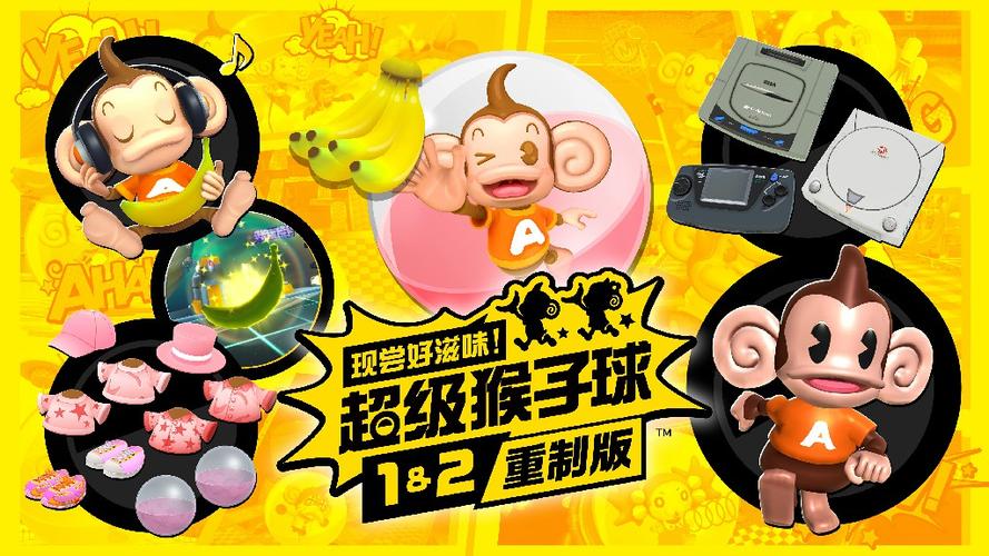 ns 数字版