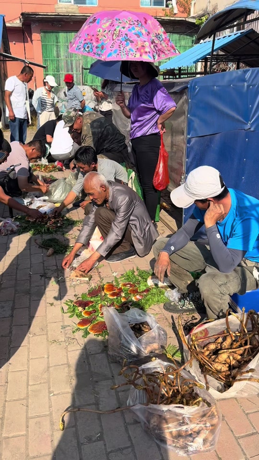 东北最大的采山货市场