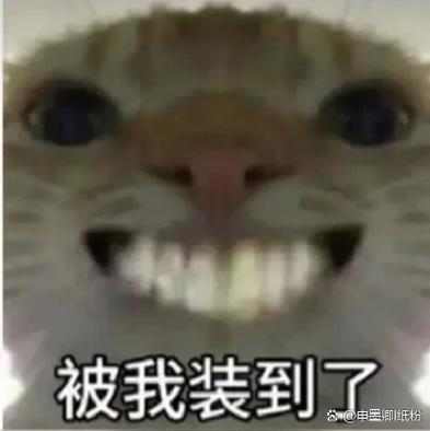 发表情是二个好还是三个