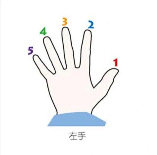 钢琴有个键有时按不响