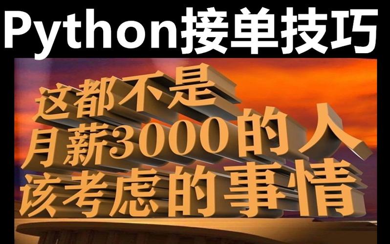 python接单