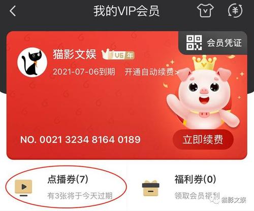 爱奇艺vip点播券是什么