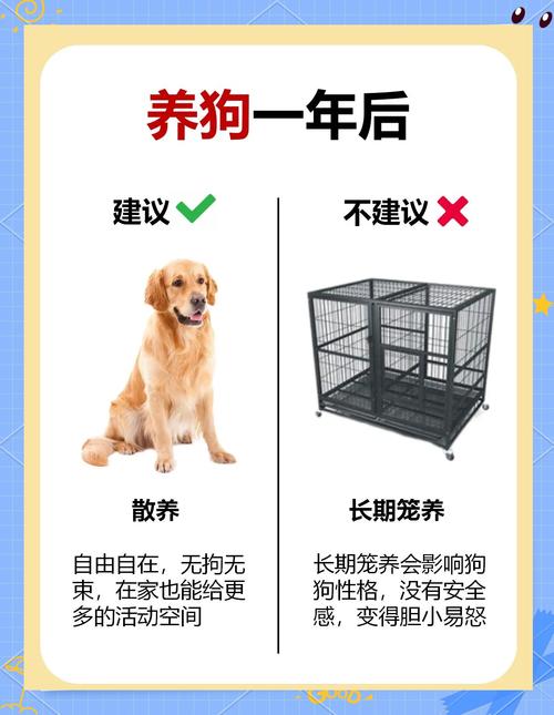 金币崽口口犬内黄毛最简单处理方法
