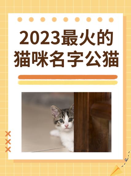 猫咪起名字大全招财缩略图