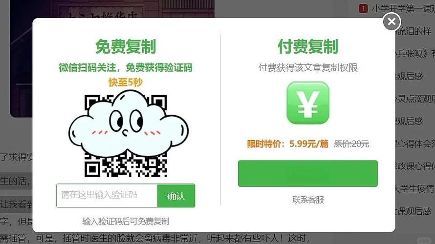 小网站付费观看怎么跳过