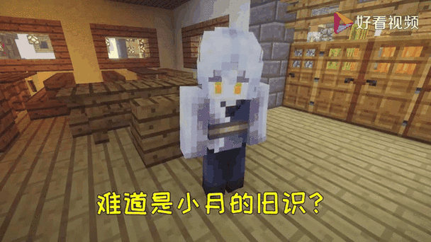 我的世界小月穿越记15
