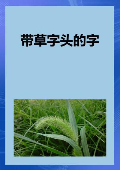 草字头下面百度什么