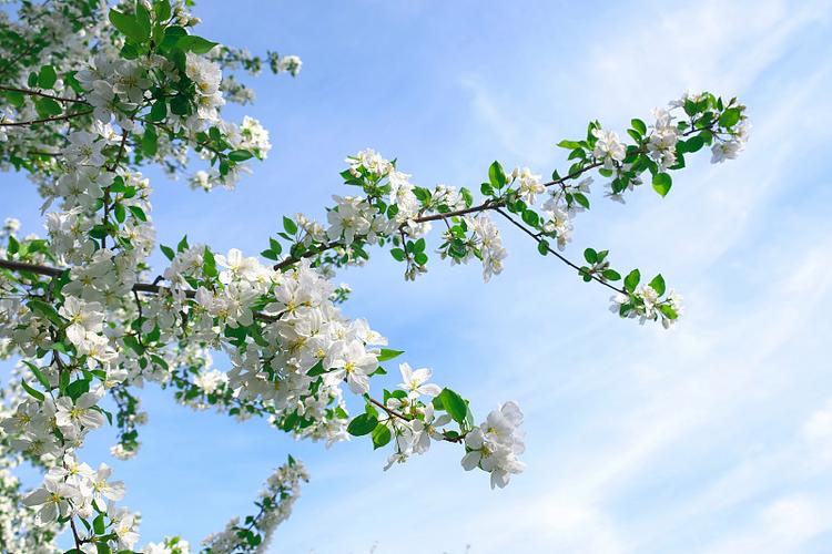 性版春暖花开