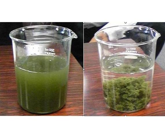 水中悬浮物快速沉淀方法