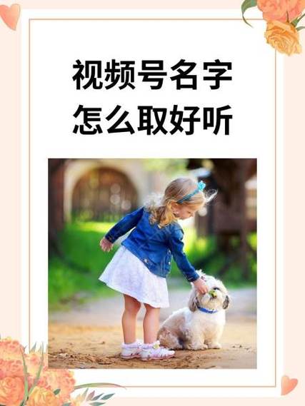 视频号名字重复怎么办