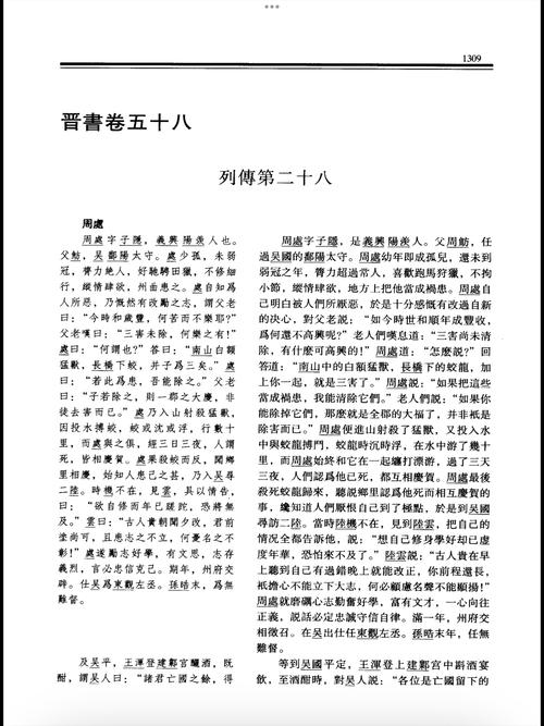 老周孙琳全文阅读