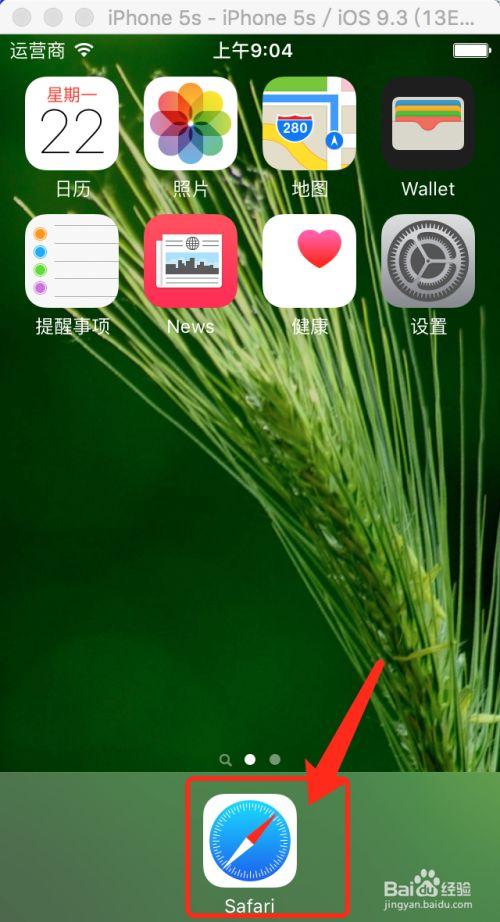 safari怎么变成pc端