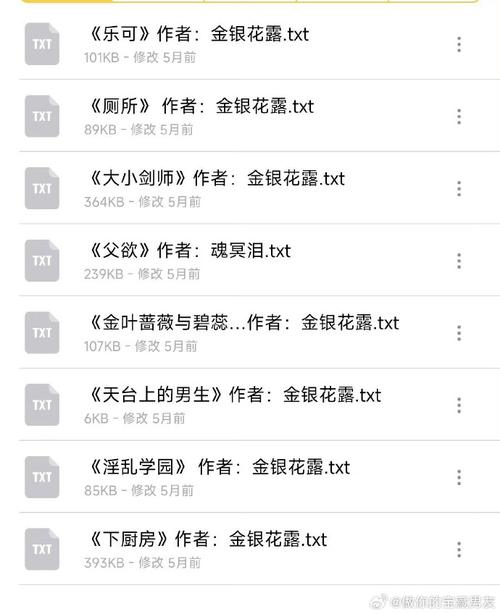 共享插座by金银花露txt百度网盘免费