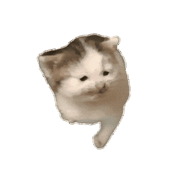 猫表情包最近很火