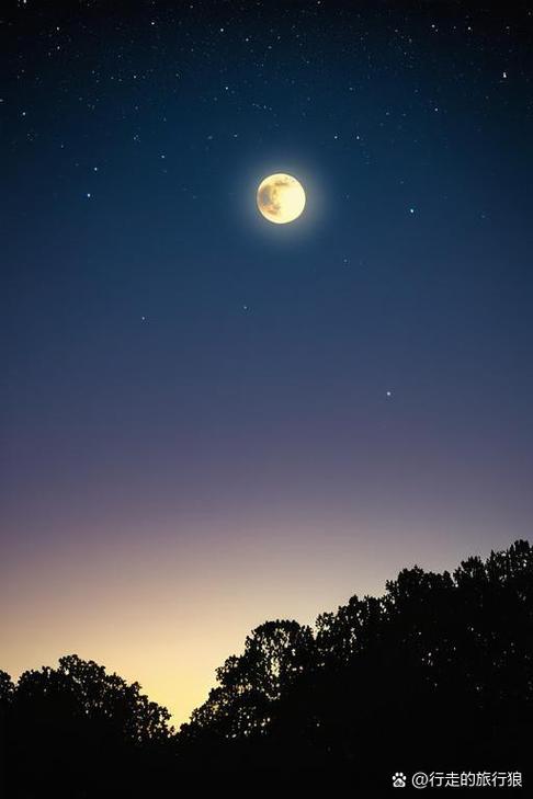 夜晚夜景图片缩略图