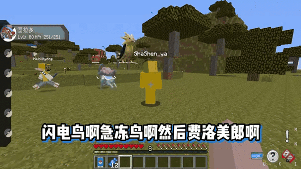 我的世界宝可梦生存下载