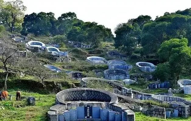 墓地标准尺寸