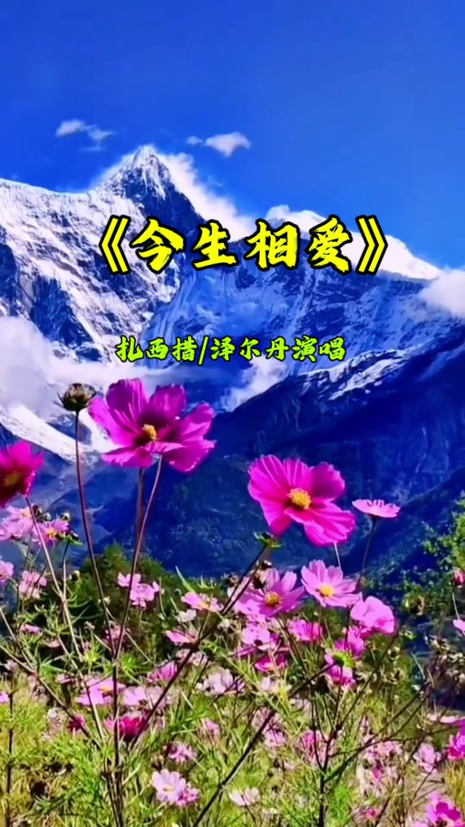 难得今生相爱过歌曲DJ下载缩略图