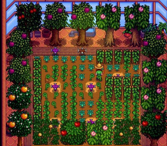 星露谷温室种什么好