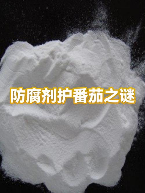 番茄实名认证显示已绑定其他账号缩略图