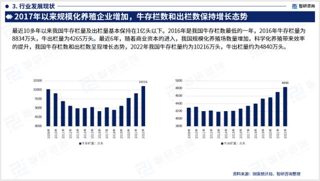 2023年养牛前景分析