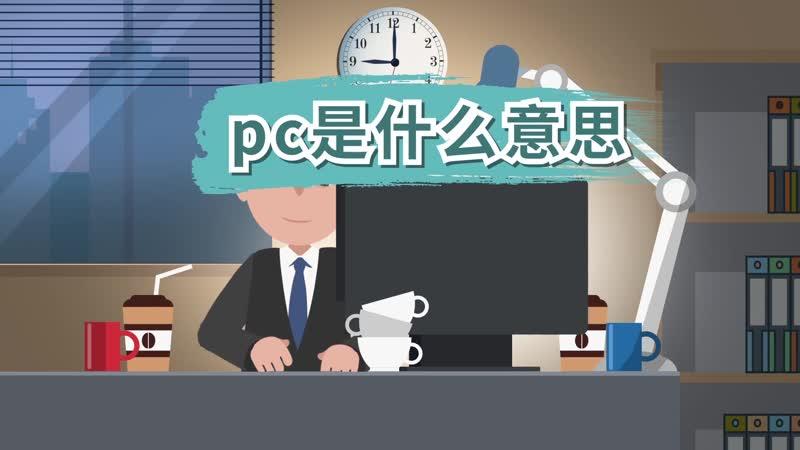 pc版是什么意思截图