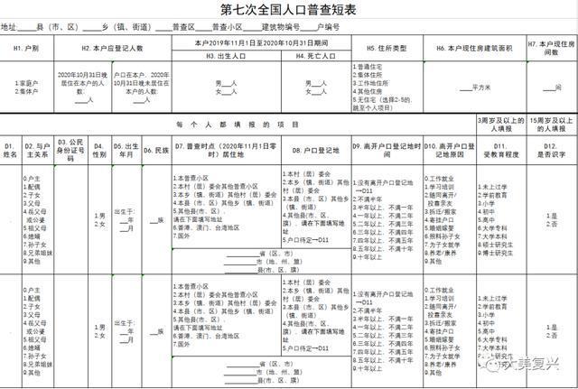 第十次人口普查是哪一年