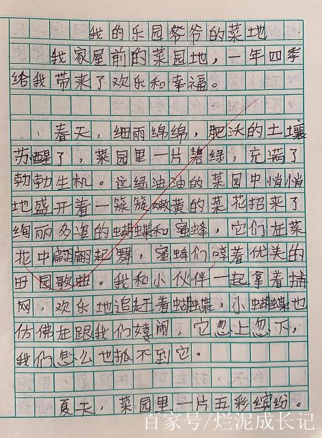 我的乐园爷爷的菜地350字