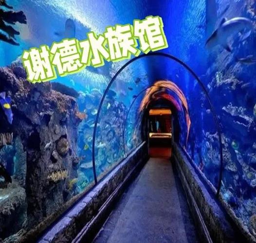 附近哪有水族馆