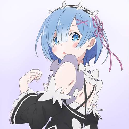 从零开始异世界雷姆
