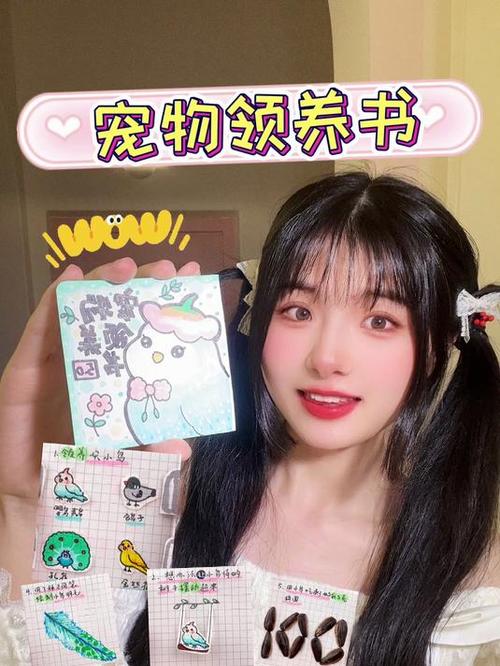 自制领养一只小鸟