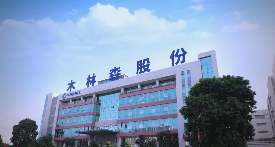 木林森是一家什么公司