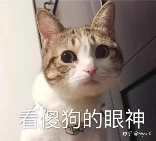 追星是否算白嫖截图