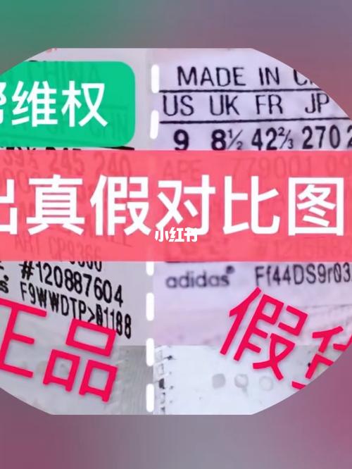 三叶草真伪鉴别方法