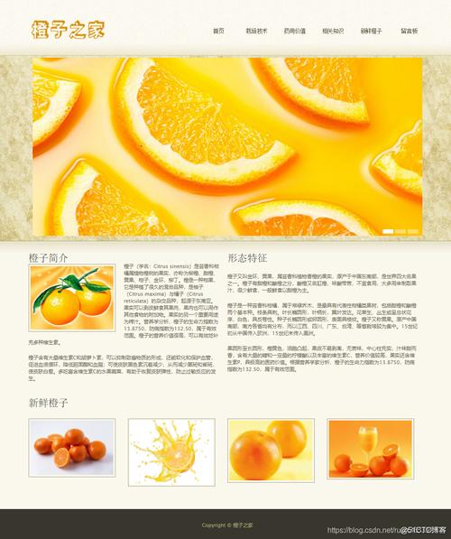 橙子网首页