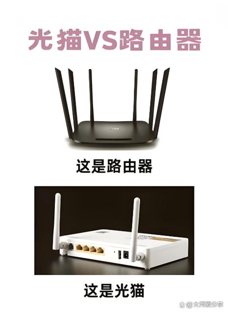 网关是猫还是路由器