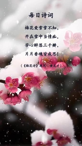 梅花爱雪雪不知全诗是什么意思