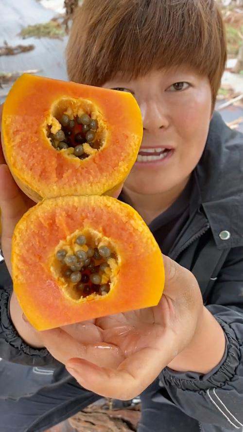 木瓜视频手机版