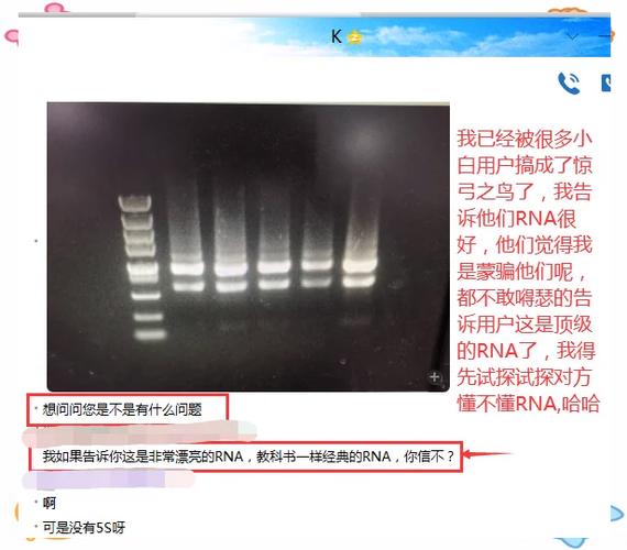 脑电波特征码被提取了怎么办