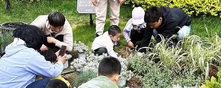 有关花园摘花的测试