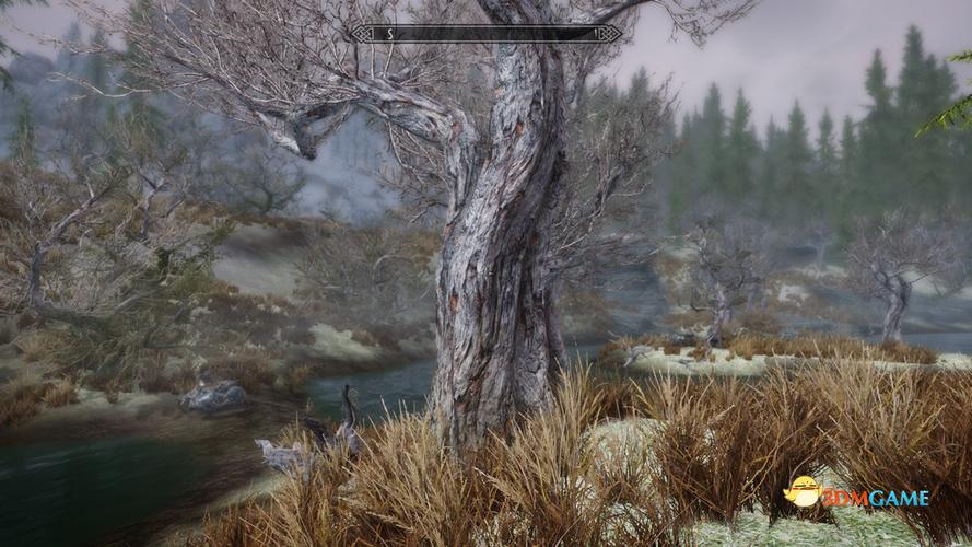 上古卷轴5蒹葭汉化版mod勾选