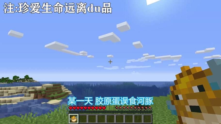 我的世界椒盐蛋感染生存2
