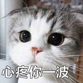 心疼的表情包图片