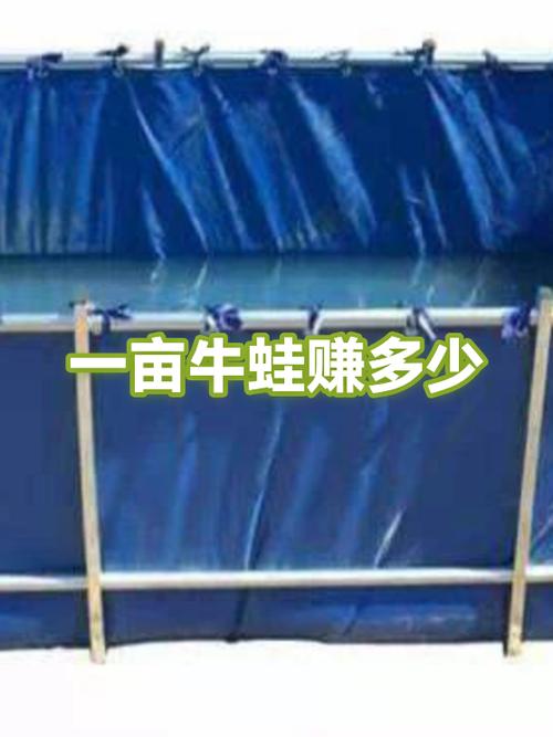一亩牛蛙养殖利润