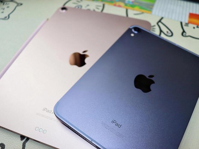 ipad放了两年可以用吗
