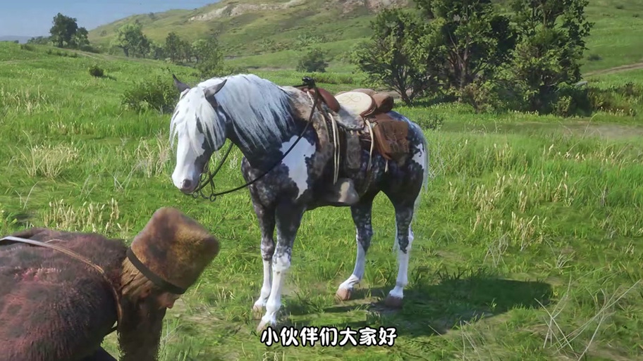 荒野大镖客二银斑狐步吗